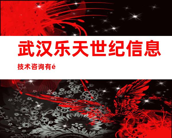 武汉乐天世纪信息技术咨询有限公司